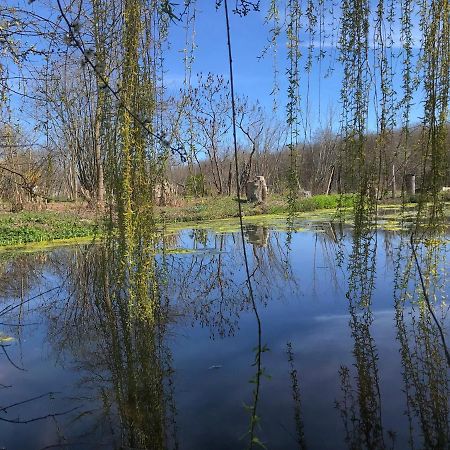 La Barcelle, Une Pause Nature. Perrigny  Eksteriør bilde
